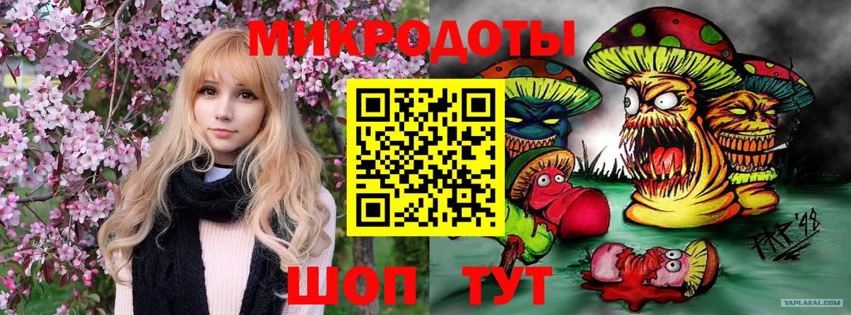 Галлюциногенные грибы Cubensis Уссурийск