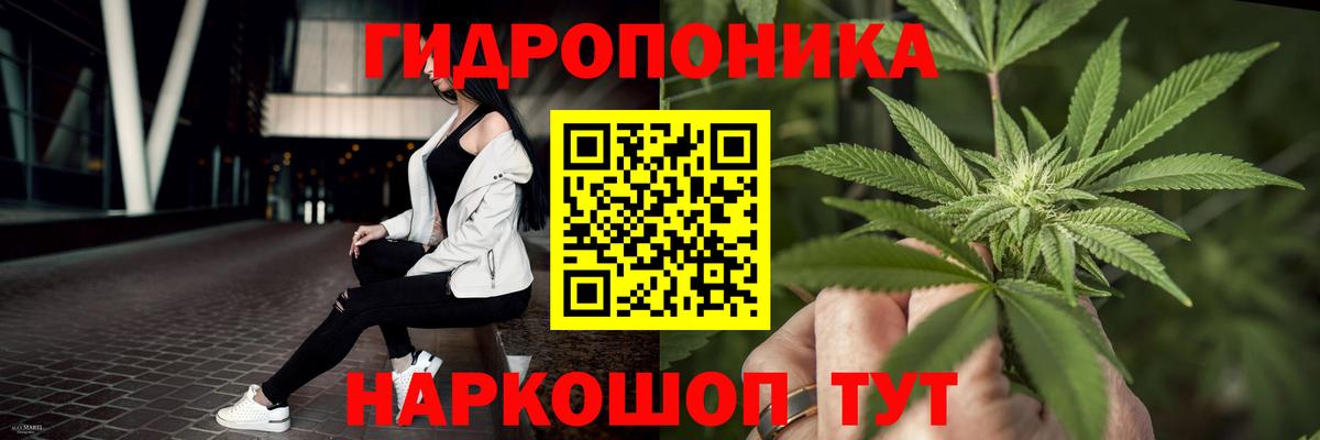 Бошки марихуана тримм  Шишки марихуана VHQ  Вход с VPN  Бошки Шишки THC 21%  Бошки марихуана White Widow  Уссурийск 